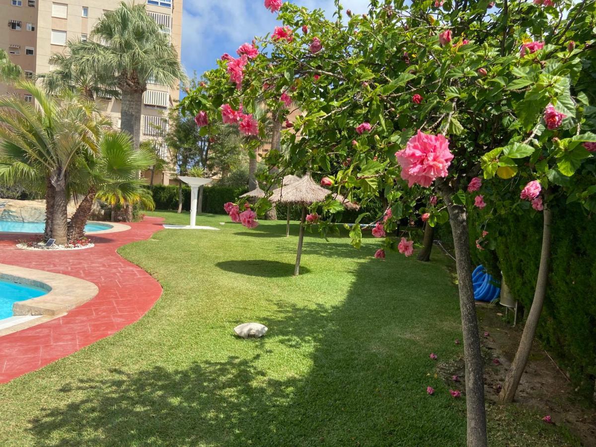 Marluma frente al Mar - Playa Muchavista - Playa San Juan Apartment La Venteta Bagian luar foto